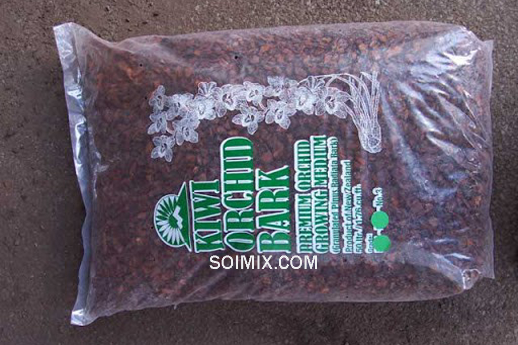 vo thong kiwi