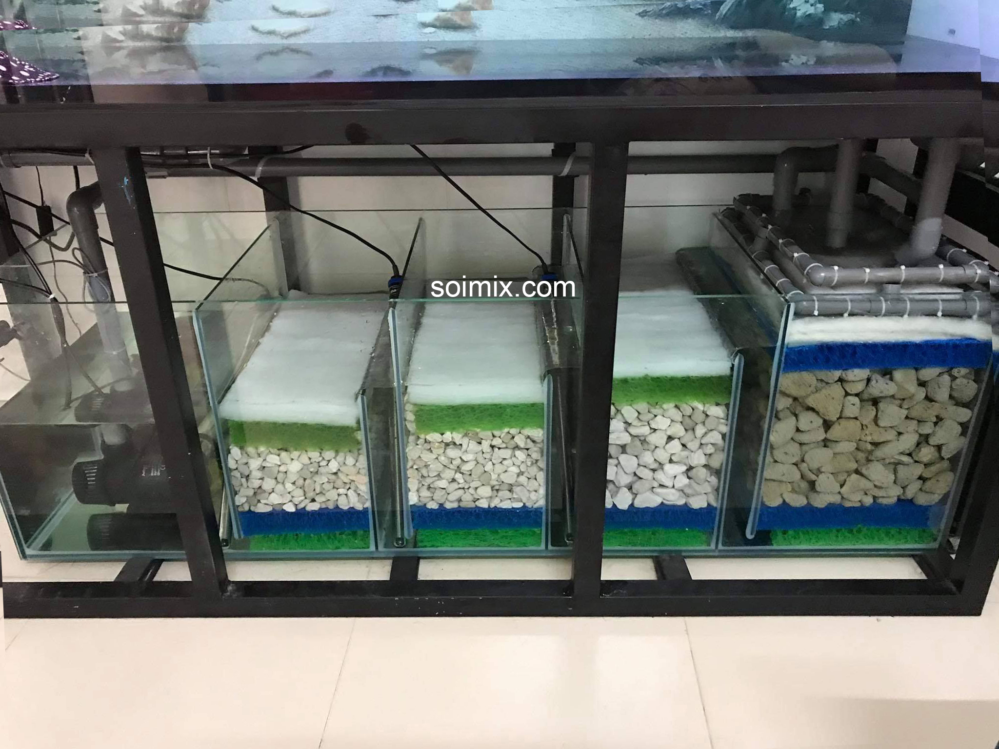 sử dụng Đá Lông Vũ cho bể cá