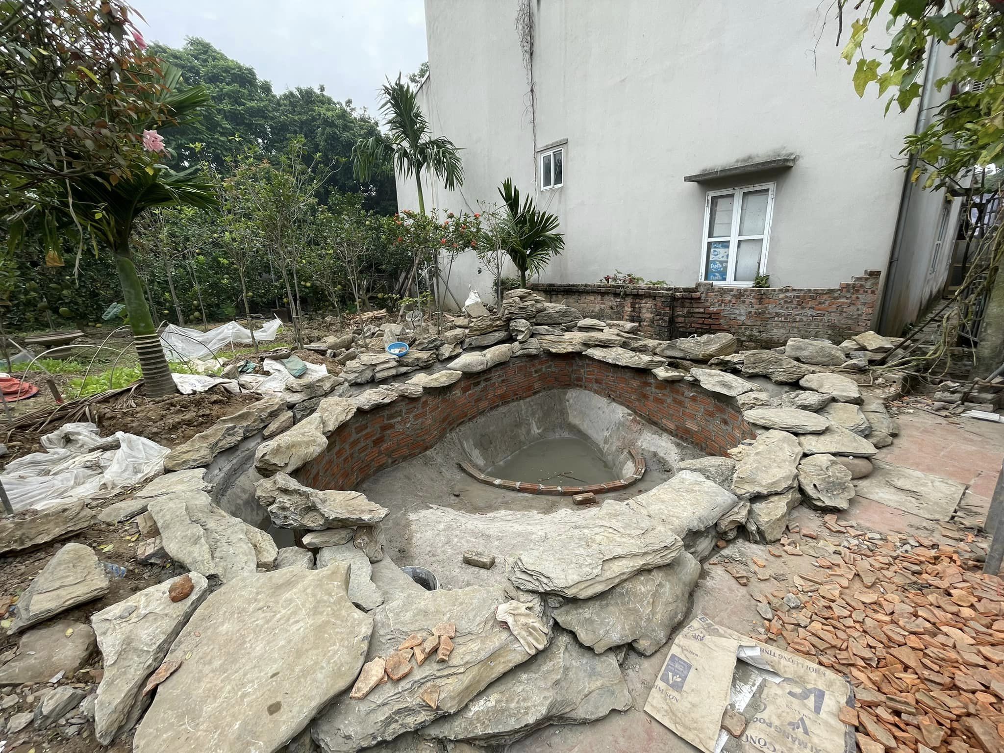 Ảnh hoàn thiện hồ cá Koi theo phương pháp tự nhiên