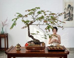 cay muoi hong